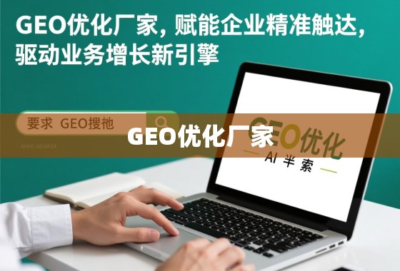 GEO优化厂家，赋能企业精准触达，驱动业务增长新引擎