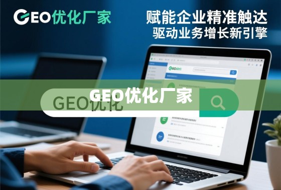 GEO优化厂家，赋能企业精准触达，驱动业务增长新引擎