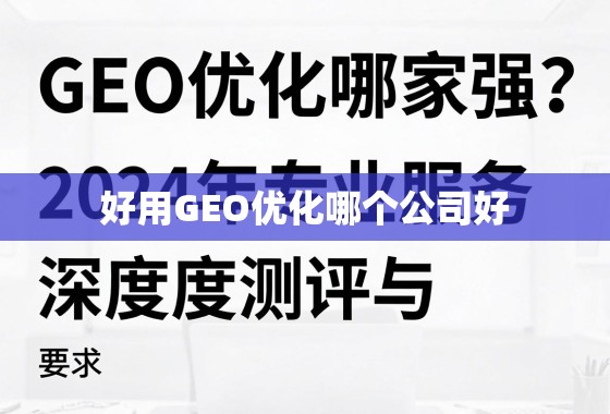 GEO优化哪家强？2024年专业服务深度测评与选择指南