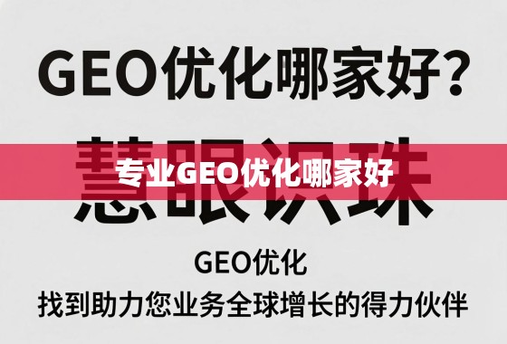 专业GEO优化哪家好？慧眼识珠，找到助力您业务全球增长的得力伙伴