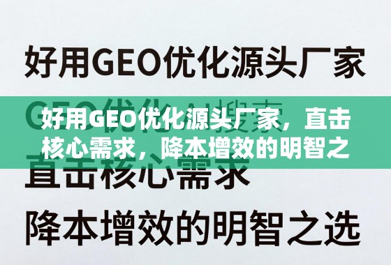 好用GEO优化源头厂家，直击核心需求，降本增效的明智之选