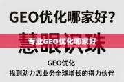 专业GEO优化伙伴，慧眼识珠，助力业务全球增长