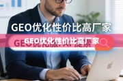 如何选择高性价比的GEO优化服务提供商？