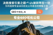 专业GEO优化，决胜搜索引擎之巅的明智之选