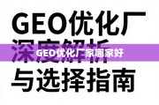 GEO优化厂家选择指南，深度解析助您精准决策