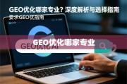 GEO优化服务商选择指南，专业度深度解析