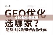 GEO优化选哪家？专业指南助您找到理想合作伙伴