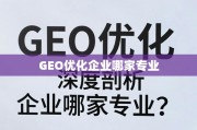 GEO优化企业专业推荐与深度剖析