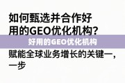 甄选合作GEO优化机构，赋能全球业务增长