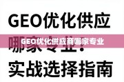 GEO优化供应商选择指南，从核心能力到实战技巧
