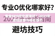 2023年专业GEO优化选择指南与避坑技巧