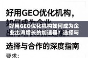 出海增长加速器，GEO优化机构选择与合作的深度指南