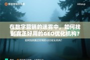 在数字营销的迷雾中，如何找到真正好用的GEO优化机构？