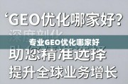 专业GEO优化如何选？深度剖析助您精准提升全球业务增长
