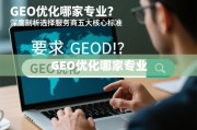 GEO优化服务商选择，五大核心标准深度剖析