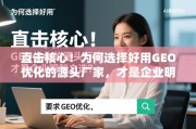 直击核心！为何选择好用GEO优化的源头厂家，才是企业明智之选？