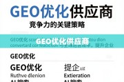 GEO优化供应商，提升企业全球运营效率与竞争力的关键策略