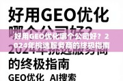 2024年GEO优化服务商挑选终极指南