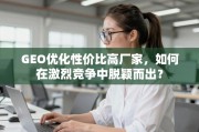 GEO优化高性价比厂家的突围之道