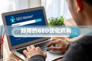 GEO优化机构怎么选？关键指标与策略解析