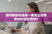 GEO优化机构甄选指南