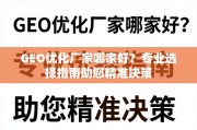 GEO优化厂家选择指南，精准决策助您找到好合作伙伴